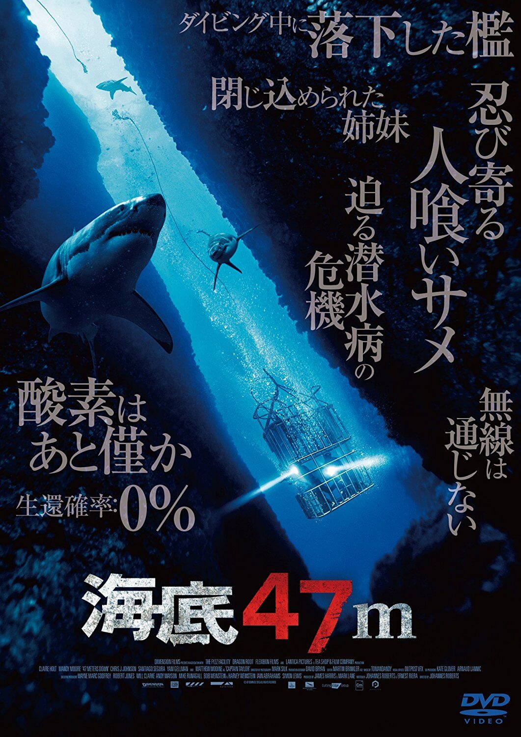 映画 海底47m ネタバレ感想 設定勝負のサメパニック 人生半降りブログ